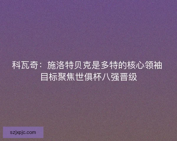 科瓦奇：施洛特贝克是多特的核心领袖 目标聚焦世俱杯八强晋级